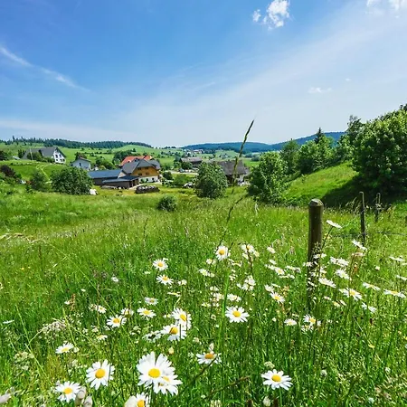 Apartment Hubertus Ibach