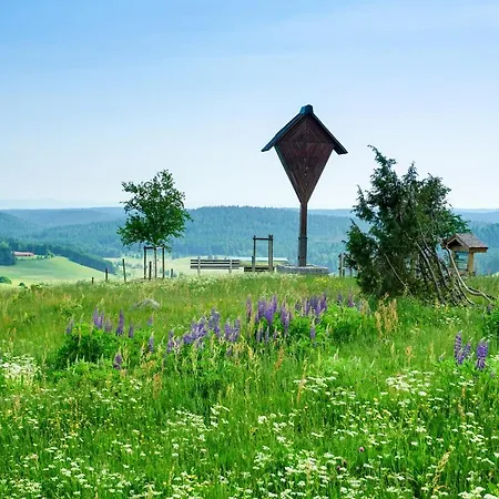 Lägenhet Hubertus Ibach