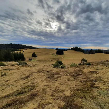 Daire Hubertus Ibach