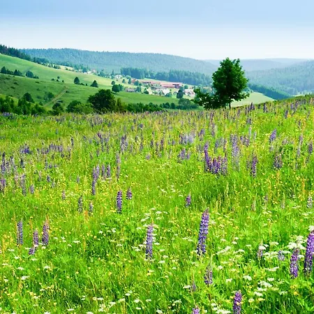 Lägenhet Hubertus Ibach