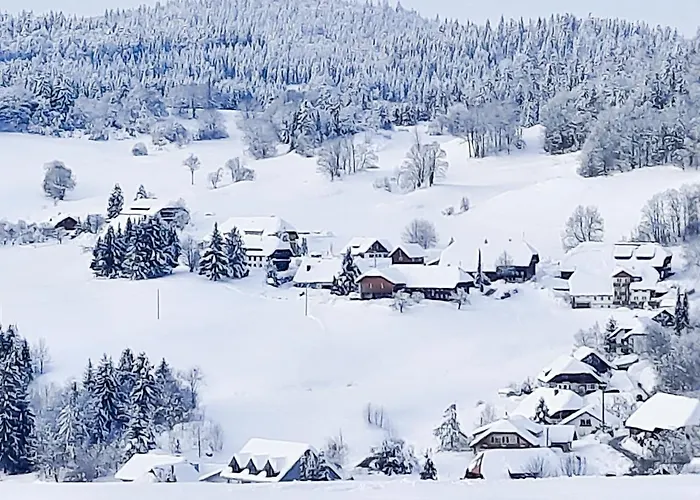 Hubertus Lejlighed Ibach