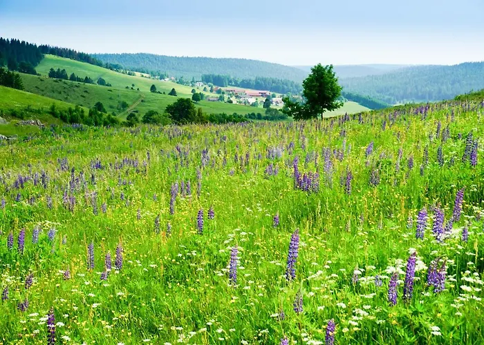 公寓 Hubertus Ibach